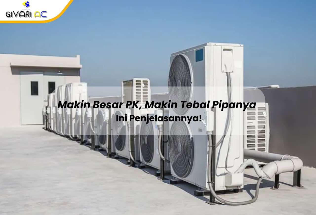 Makin Besar PK, Makin Tebal Pipanya — Ini Penjelasannya!